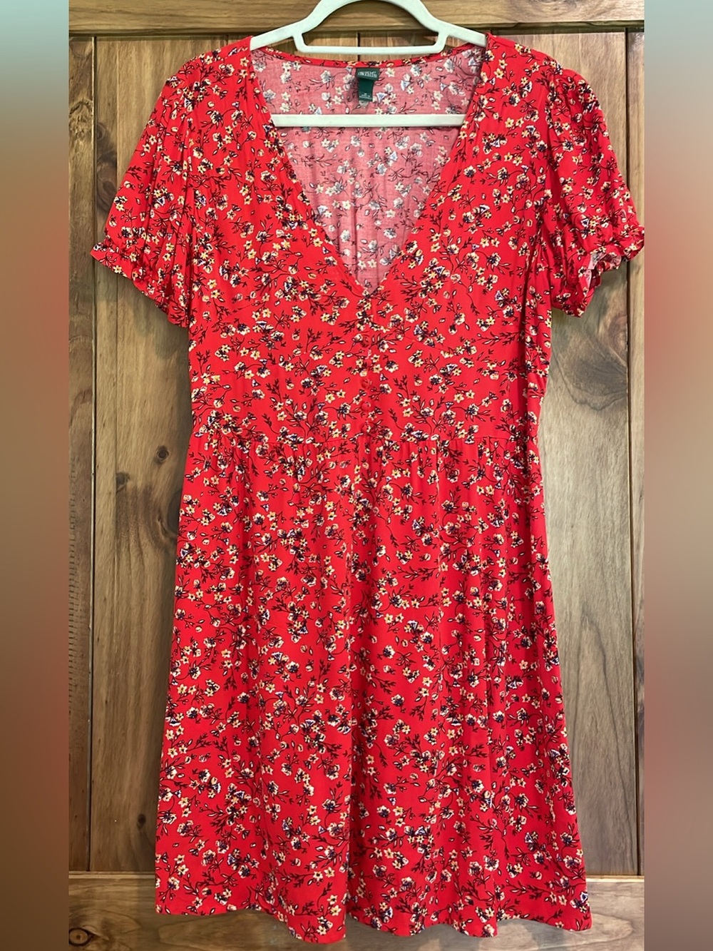 wild fable Red Skater Dress